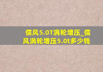 儒风5.0T涡轮增压_儒风涡轮增压5.0t多少钱