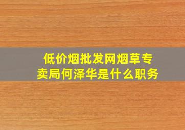 (低价烟批发网)烟草专卖局何泽华是什么职务