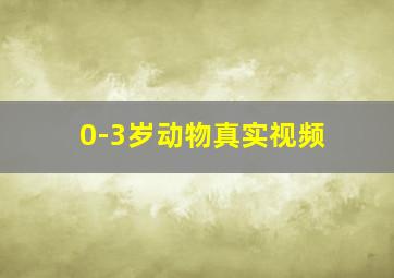 0-3岁动物真实视频