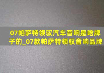 07帕萨特领驭汽车音响是啥牌子的_07款帕萨特领驭音响品牌