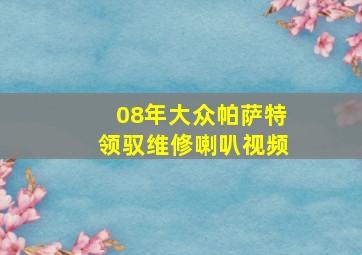 08年大众帕萨特领驭维修喇叭视频