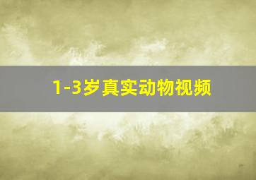 1-3岁真实动物视频