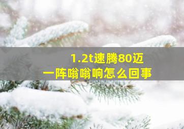 1.2t速腾80迈一阵嗡嗡响怎么回事