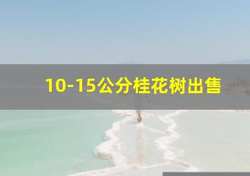 10-15公分桂花树出售