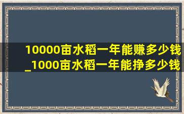 10000亩水稻一年能赚多少钱_1000亩水稻一年能挣多少钱