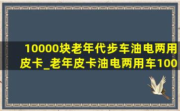 10000块老年代步车油电两用皮卡_老年皮卡油电两用车10000元