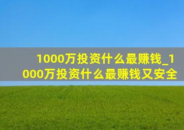 1000万投资什么最赚钱_1000万投资什么最赚钱又安全