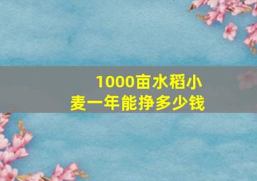 1000亩水稻小麦一年能挣多少钱