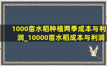 1000亩水稻种植两季成本与利润_10000亩水稻成本与利润