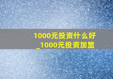 1000元投资什么好_1000元投资加盟