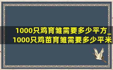 1000只鸡育雏需要多少平方_1000只鸡苗育雏需要多少平米