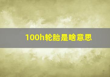 100h轮胎是啥意思