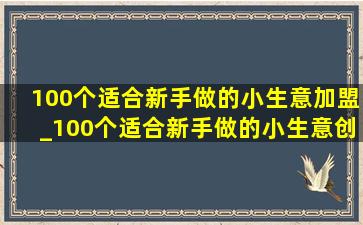 100个适合新手做的小生意加盟_100个适合新手做的小生意创业