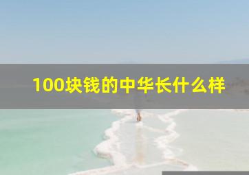 100块钱的中华长什么样