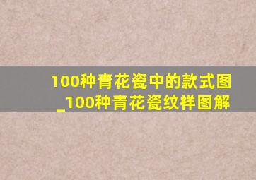 100种青花瓷中的款式图_100种青花瓷纹样图解