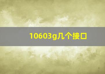 10603g几个接口