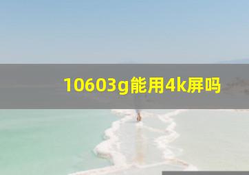 10603g能用4k屏吗