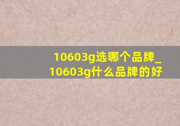 10603g选哪个品牌_10603g什么品牌的好