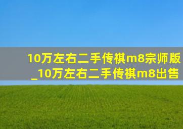 10万左右二手传祺m8宗师版_10万左右二手传祺m8出售