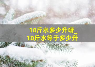 10斤水多少升呀_10斤水等于多少升