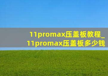 11promax压盖板教程_11promax压盖板多少钱