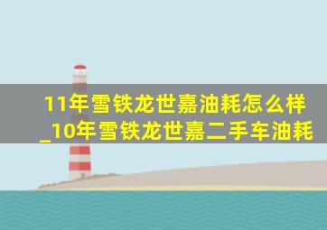 11年雪铁龙世嘉油耗怎么样_10年雪铁龙世嘉二手车油耗