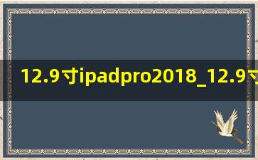 12.9寸ipadpro2018_12.9寸ipadpro2018款