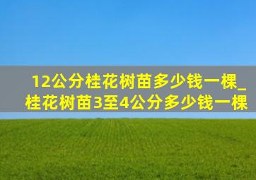 12公分桂花树苗多少钱一棵_桂花树苗3至4公分多少钱一棵