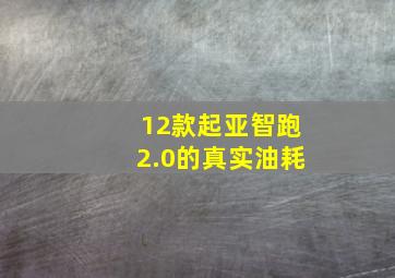 12款起亚智跑2.0的真实油耗