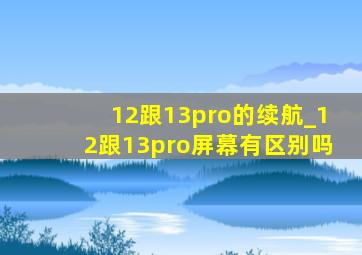 12跟13pro的续航_12跟13pro屏幕有区别吗