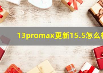 13promax更新15.5怎么样