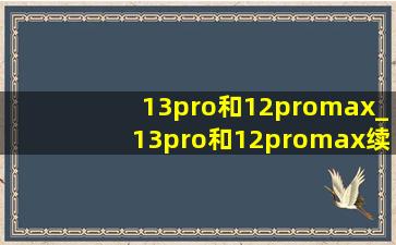 13pro和12promax_13pro和12promax续航