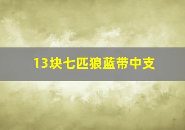 13块七匹狼蓝带中支