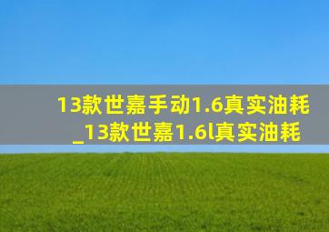 13款世嘉手动1.6真实油耗_13款世嘉1.6l真实油耗