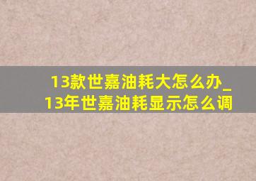 13款世嘉油耗大怎么办_13年世嘉油耗显示怎么调