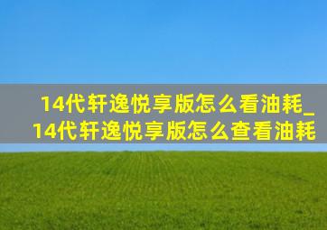 14代轩逸悦享版怎么看油耗_14代轩逸悦享版怎么查看油耗