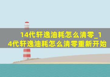 14代轩逸油耗怎么清零_14代轩逸油耗怎么清零重新开始