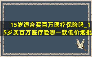 15岁适合买百万医疗保险吗_15岁买百万医疗险哪一款(低价烟批发网)