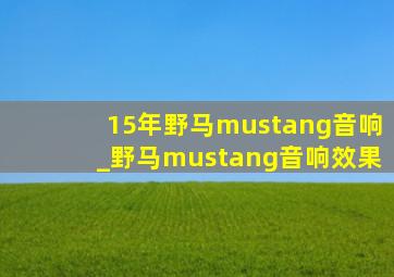 15年野马mustang音响_野马mustang音响效果