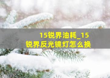 15锐界油耗_15锐界反光镜灯怎么换