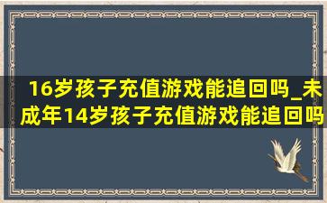 16岁孩子充值游戏能追回吗_未成年14岁孩子充值游戏能追回吗