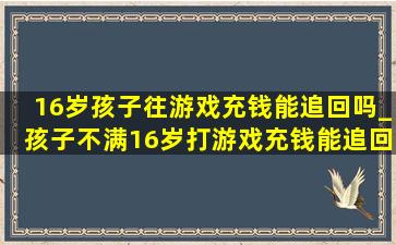 16岁孩子往游戏充钱能追回吗_孩子不满16岁打游戏充钱能追回吗