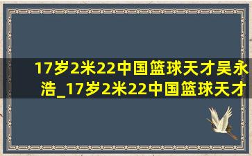 17岁2米22中国篮球天才吴永浩_17岁2米22中国篮球天才是谁