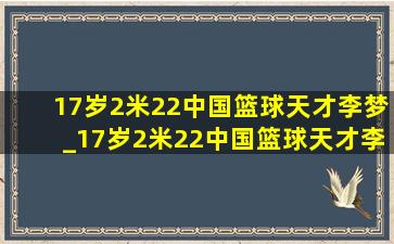 17岁2米22中国篮球天才李梦_17岁2米22中国篮球天才李添荣