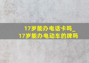 17岁能办电话卡吗_17岁能办电动车的牌吗