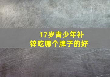 17岁青少年补锌吃哪个牌子的好