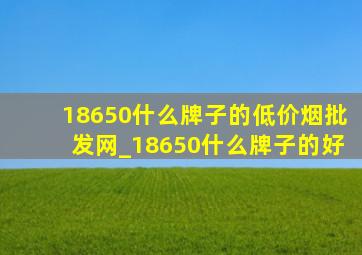 18650什么牌子的(低价烟批发网)_18650什么牌子的好