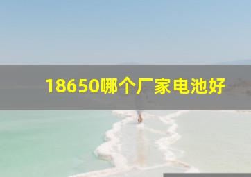 18650哪个厂家电池好