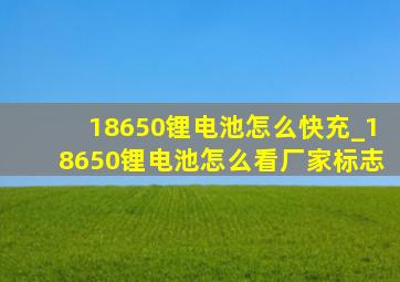 18650锂电池怎么快充_18650锂电池怎么看厂家标志