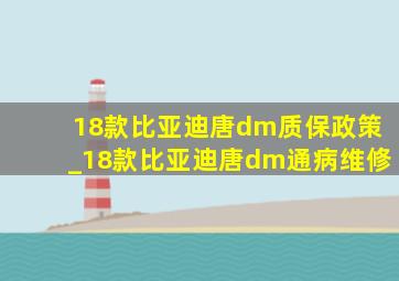 18款比亚迪唐dm质保政策_18款比亚迪唐dm通病维修